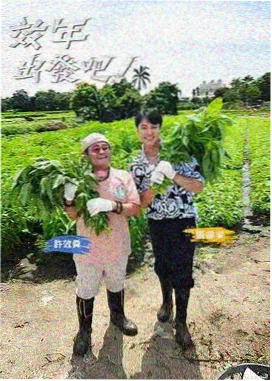 四虎影院舞蹈风暴